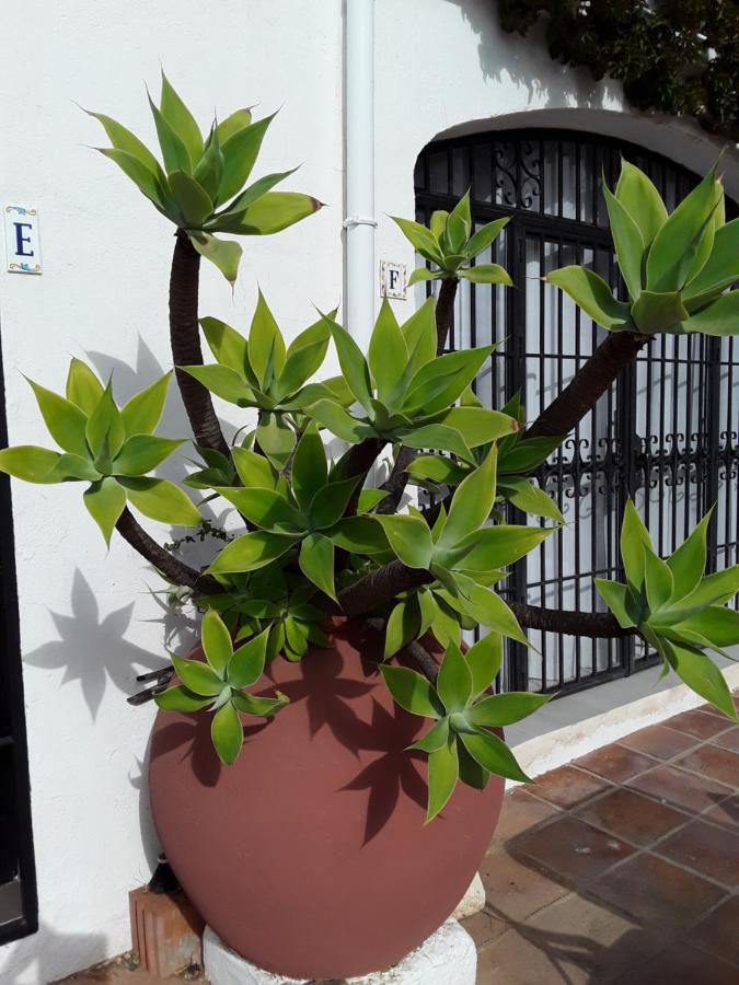 Dona Lola , Luminoso Apartamento Calahonda, Mijas Sitio de Calahonda Kültér fotó