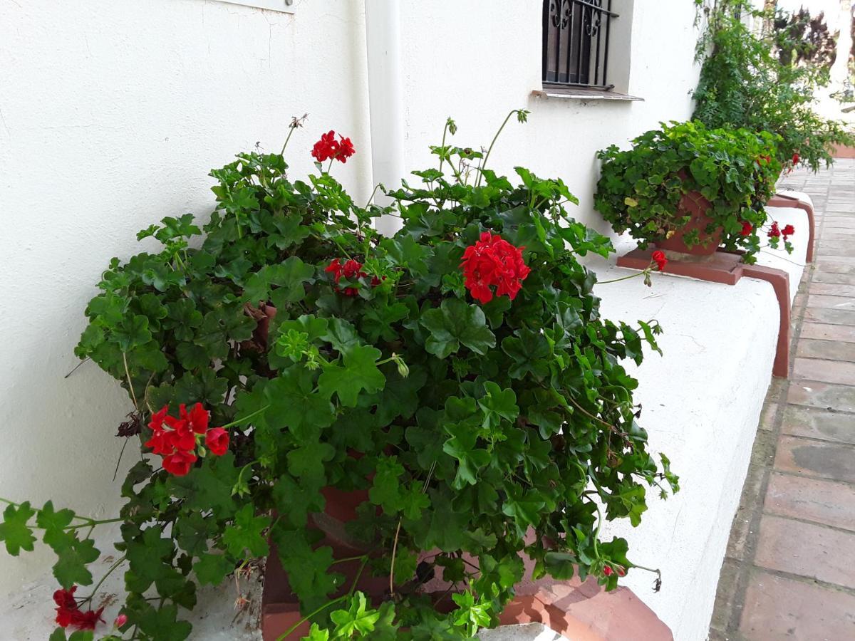 Dona Lola , Luminoso Apartamento Calahonda, Mijas Sitio de Calahonda Kültér fotó