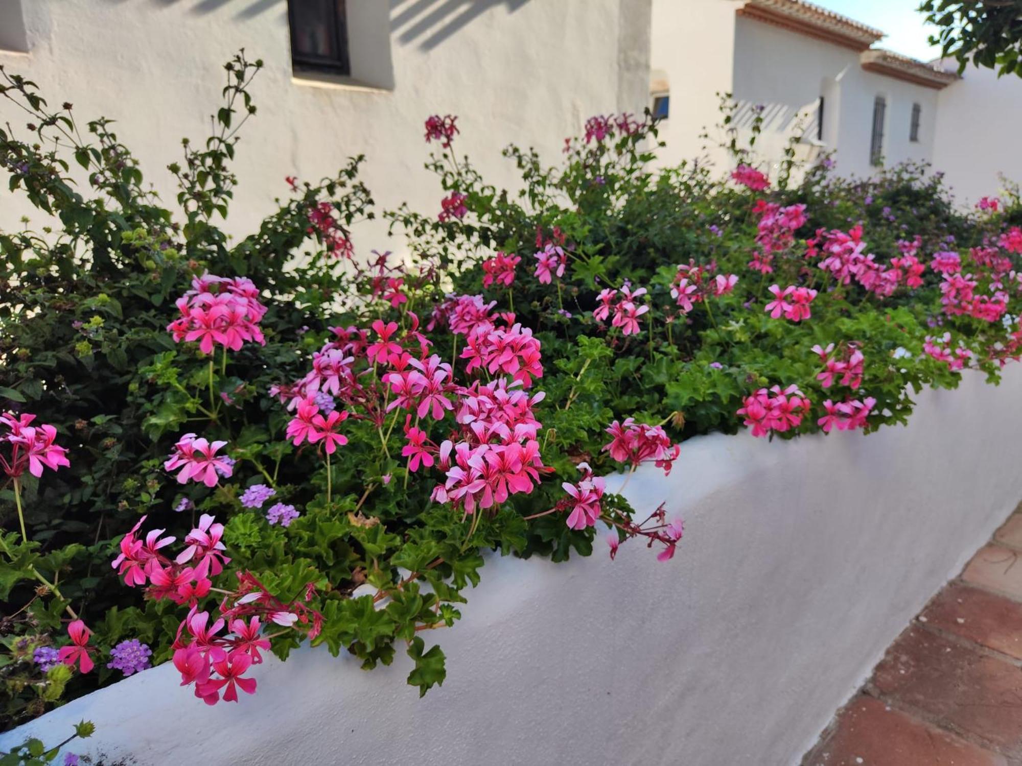 Dona Lola , Luminoso Apartamento Calahonda, Mijas Sitio de Calahonda Kültér fotó
